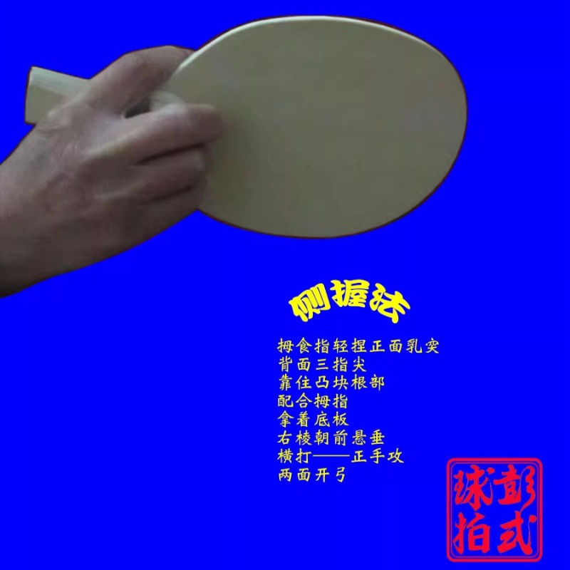 中国/和風卓球ラケットプロレベルの不規則な形状のピンポンパド - Table Tennis Xu Xin のレビューと価格