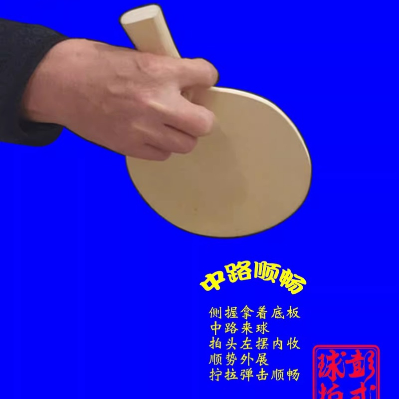 中国/和風卓球ラケットプロレベルの不規則な形状のピンポンパド - Table Tennis Xu Xin のレビューと価格