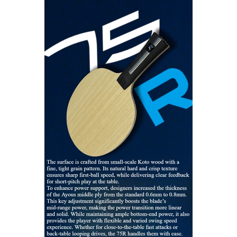 SANWEI 75R 5+2 アウターH-GLC卓球ブレード - Table Tennis Table のレビューと価格
